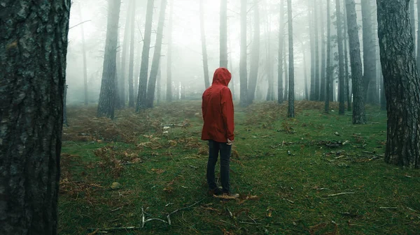 Mittlerer Schuss Eines Mannes Mit Roter Jacke Spaziert Nebligen Wald — Stockfoto