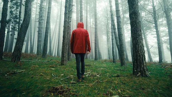 Mittlerer Schuss Eines Mannes Mit Roter Jacke Spaziert Nebligen Wald — Stockfoto