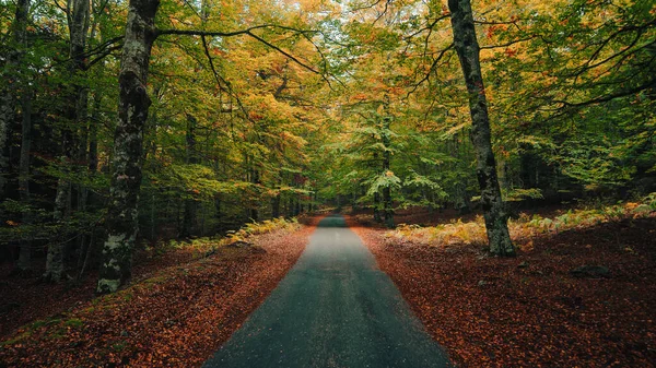 Dağ Yolu Sonbahar Renkleriyle Yol Aldı — Stok fotoğraf