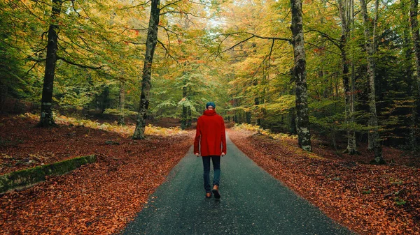 Man Walks Autumn Woods — Stock Photo, Image