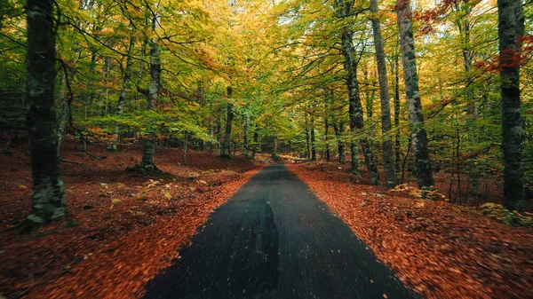 Bergherbststraße Herbstliche Farben — Stockfoto