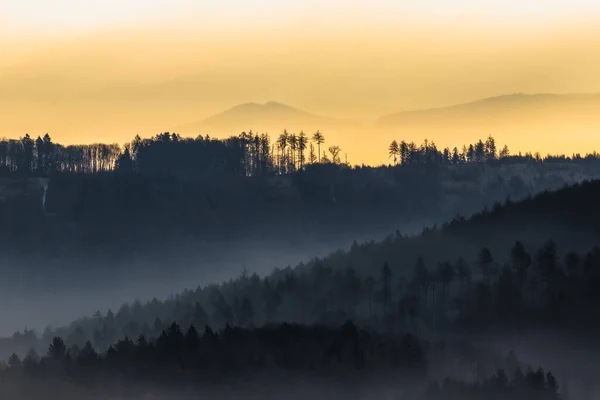 Mlhavé Lesy Bílých Karpat Jaře — Stock fotografie