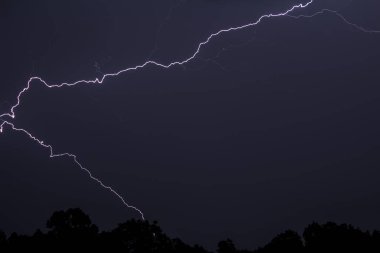 Lightning in the night sky. In the foreground are silhouettes of trees.