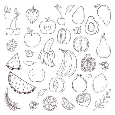 El çizimi siyah beyaz meyve ve böğürtlen