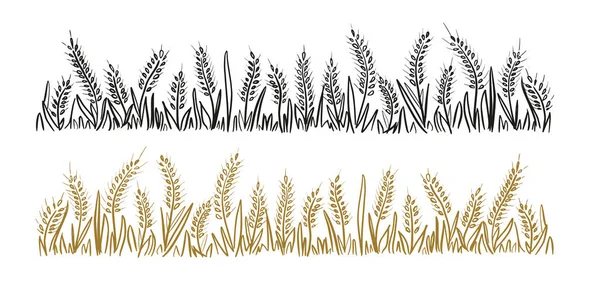 小麦やハーブ 草の野生の耳 穀物の手が作られました ベクトルイラスト白の背景に茶色と黒の線 — ストックベクタ