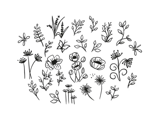 Collection of wild flowers, poppies, dandelions, different branches of leaves in doodles.Vector illustration.Field of wild flowers,grass,leaves.
