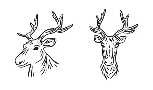 鹿の肖像画の手描きベクトル ドードルスタイルの手描きの鹿のパズル ハンターのシンボル — ストックベクタ