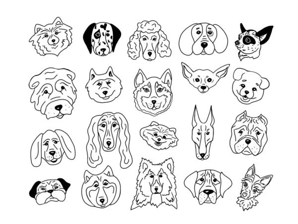 Set Heads Different Breeds Dogs Chihuahua Dalmatian Husky Poodle Alabai — Stock Vector