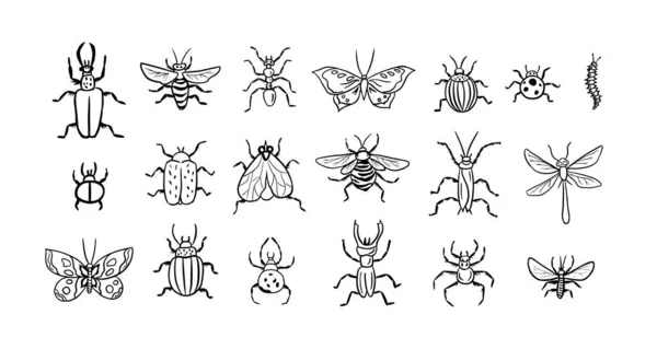 Set Von Insekten Vektor Big Hand Gezogene Linie Reihe Von — Stockvektor