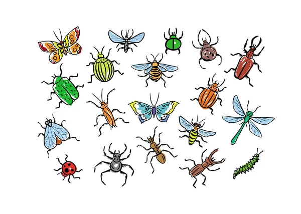 Set Insects Color Drawn Doodle Style Hand Made Vector Illustration — Stock Vector