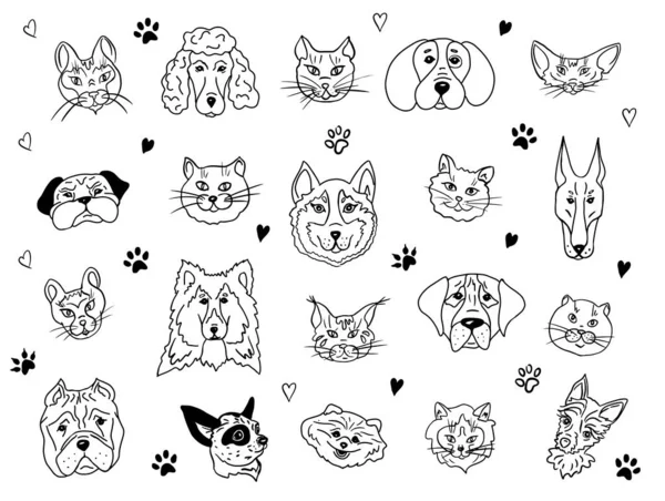 Set Potret Hewan Peliharaan Kepala Kucing Dan Anjing Dari Berbagai - Stok Vektor