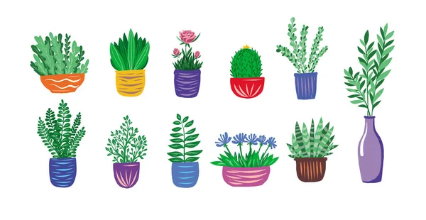 Pot Flowers Home Plants Flowers Flowering Plant Botanical Pot Vector — Vettoriale Stock