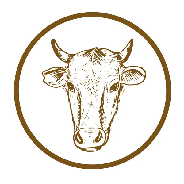 牛頭だ 家畜だ 円の中の白い背景にスケッチ ベクターイラスト — ストックベクタ