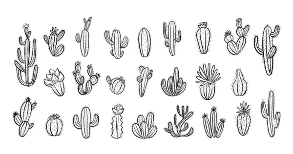 Cactus Set Flowers Hand Drawn Illustration Doodle Style Vector Illustration — Vettoriale Stock