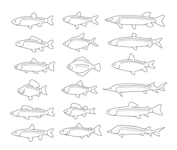 Fish Set Icons Linear Style Fishing Concept Symbols Collection Animals — 图库矢量图片