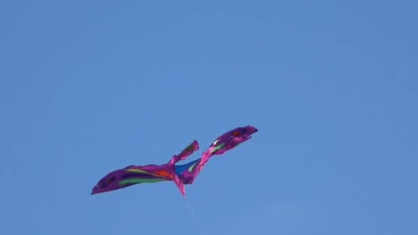 Vidéo de cerf-volant coloré volant dans le ciel bleu clair — Video