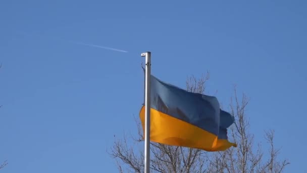 Video of waving Ukrainian flag on a blue clear sky in Prague — Stock Video