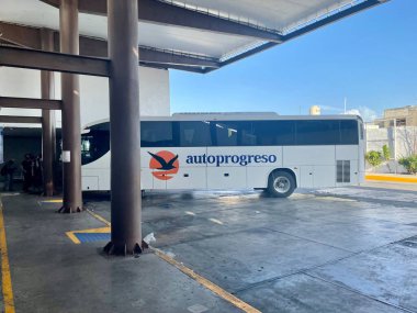 Merida, Meksika - 3 Mayıs 2022: Progreso ve Merida şehirleri arasında otobüs seferleri yapan Meksikalı Autoprogreso şirketinin beyaz otobüsü. Yüksek kalite fotoğraf