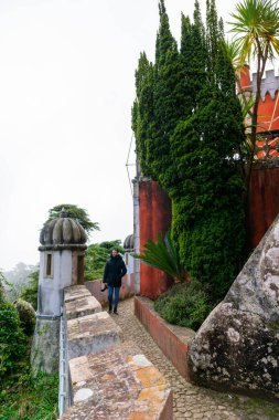 Erkek turist Sintra 'daki Palacio da Pena' da geziniyor.