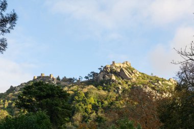 Doğayla, bitkilerle ve ağaçlarla çevrili bir tepede, uzaklardan Castelo dos Mouros..
