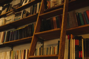 Portekiz, Lizbon 'da popüler bir kitapçıda yüksek kitaplıkta düzenlenmiş ahşap bir merdiven..