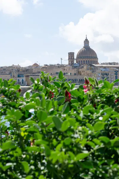 La Valleta 'nın yeşil bitkileri ve çiçekleri ile Malta şehrinin manzarası.