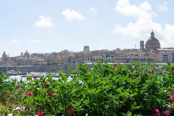 Landscape Maltese Town Valleta Green Plants Flowers — 스톡 사진