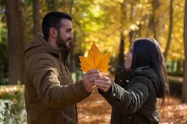 Couple Regardant Joyeusement Tout Tenant Une Feuille Automne — Photo