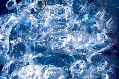 Bir zamanlar geri dönüşüm için kullanılan plastik şişeler birikmiş ve ezilmiş.