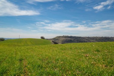 Güneşli bir günde baharda yeşil bir çayırın manzarası - doğa ve tarım kavramı