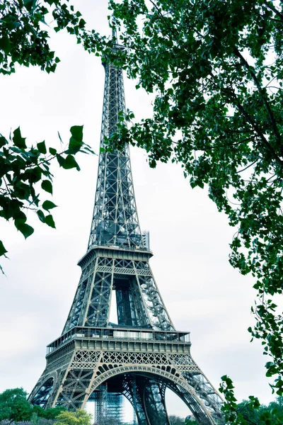 Torre Eiffel Fundo Com Árvores Primeiro Plano Formato Retrato — Fotografia de Stock