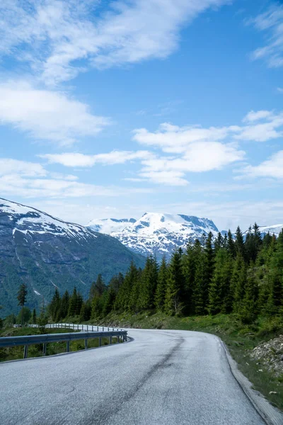 Landscape of a winding road through a forest with snow-capped mountains in the background.