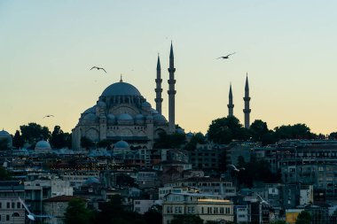 Gün batımında Süleyman Camii 'nin manzarası. Etrafında martılar uçuşuyor..