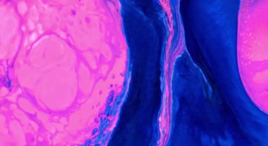 Renkli Soyut Modern Sanat Hareketi Arkaplan 4K 