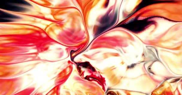 Colorful Abstract Modern Art Motion Background — Video