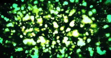 Soyut Hareket Grafiksel Arkaplan 4K