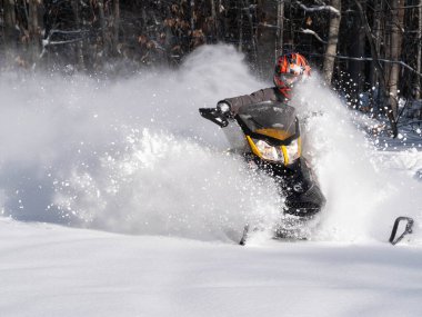 Taze karda off road kar aracı (BRP). 