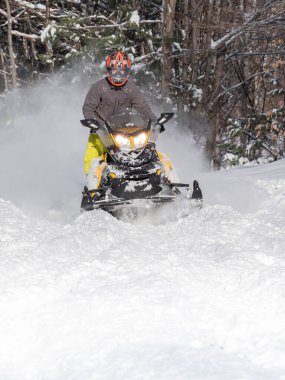 Taze karda off road kar aracı (BRP). 