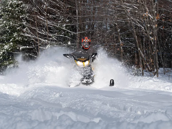 Road Snowmobile Brp Neve Fresca — Fotografia de Stock