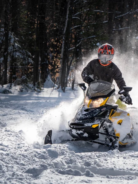 Road Snowmobile Brp Neve Fresca — Fotografia de Stock