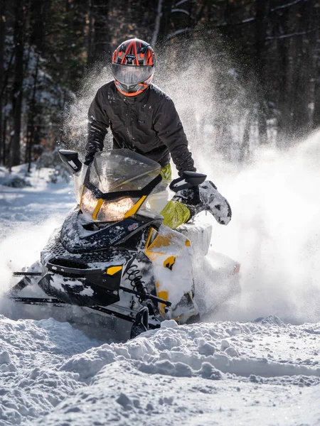 Road Snowmobile Brp Fresh Snow — Stock Photo, Image