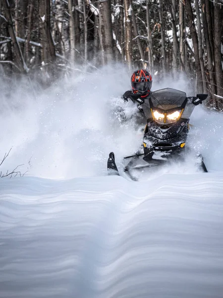 Road Snowmobile Brp Fresh Snow — Stock Photo, Image