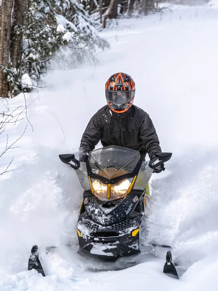 Road Snowmobile Brp Fresh Snow — Stock Photo, Image