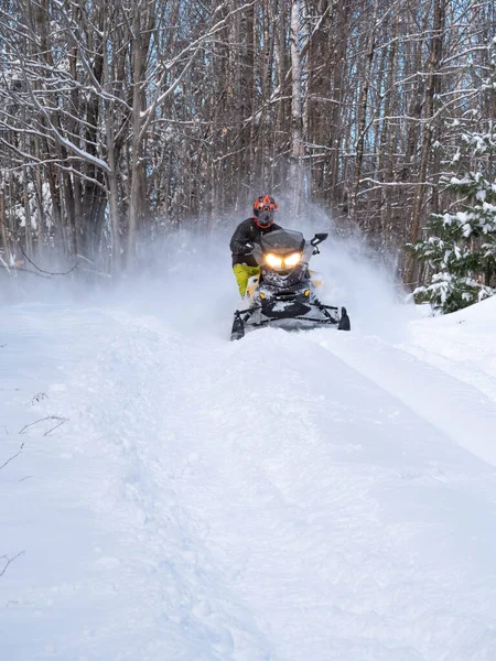 Road Snowmobile Brp Neve Fresca — Fotografia de Stock