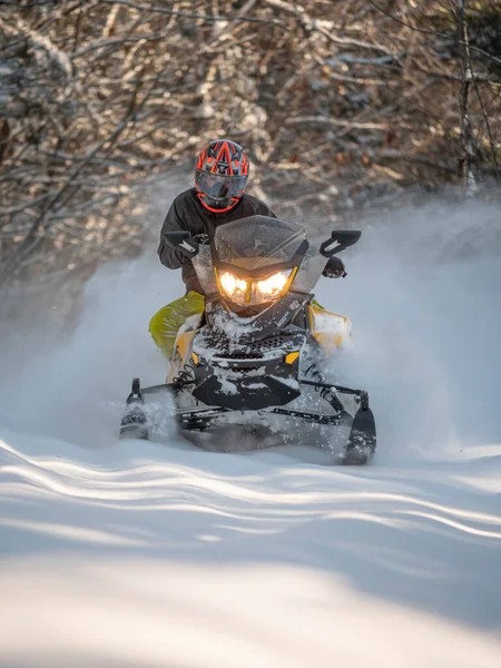 Motonieve Todoterreno Brp Nieve Fresca —  Fotos de Stock