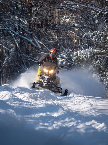 Road Snowmobile Brp Neve Fresca — Fotografia de Stock