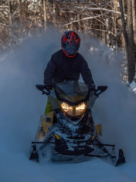 Road Snowmobile Brp Fresh Snow — Stock Photo, Image