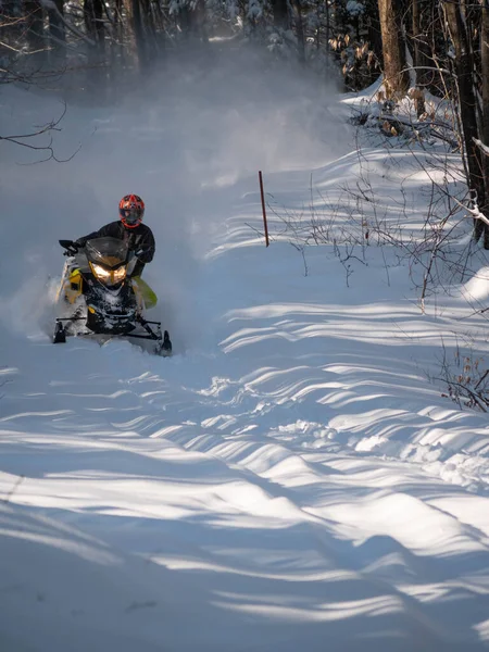 Road Snowmobile Brp Neve Fresca — Fotografia de Stock