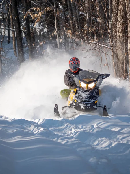 Road Snowmobile Brp Neve Fresca — Fotografia de Stock