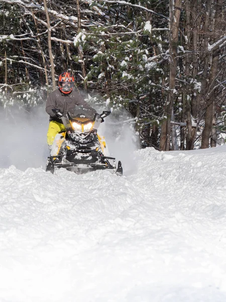 Road Snowmobile Brp Fresh Snow Stock Picture